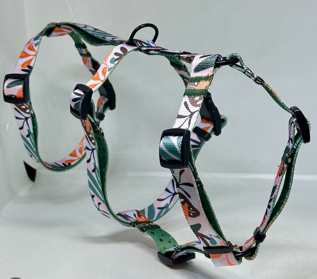 Szelki antyucieczkowe - obrazek 2