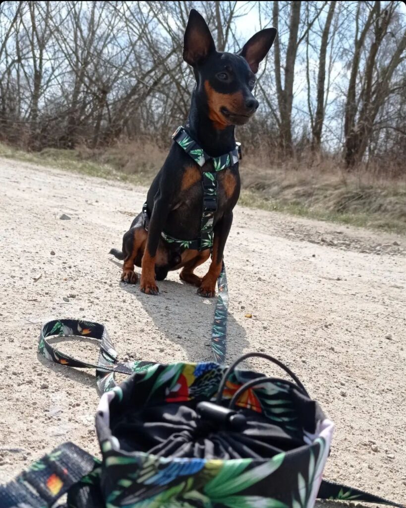 IMG_20220406_200421_884