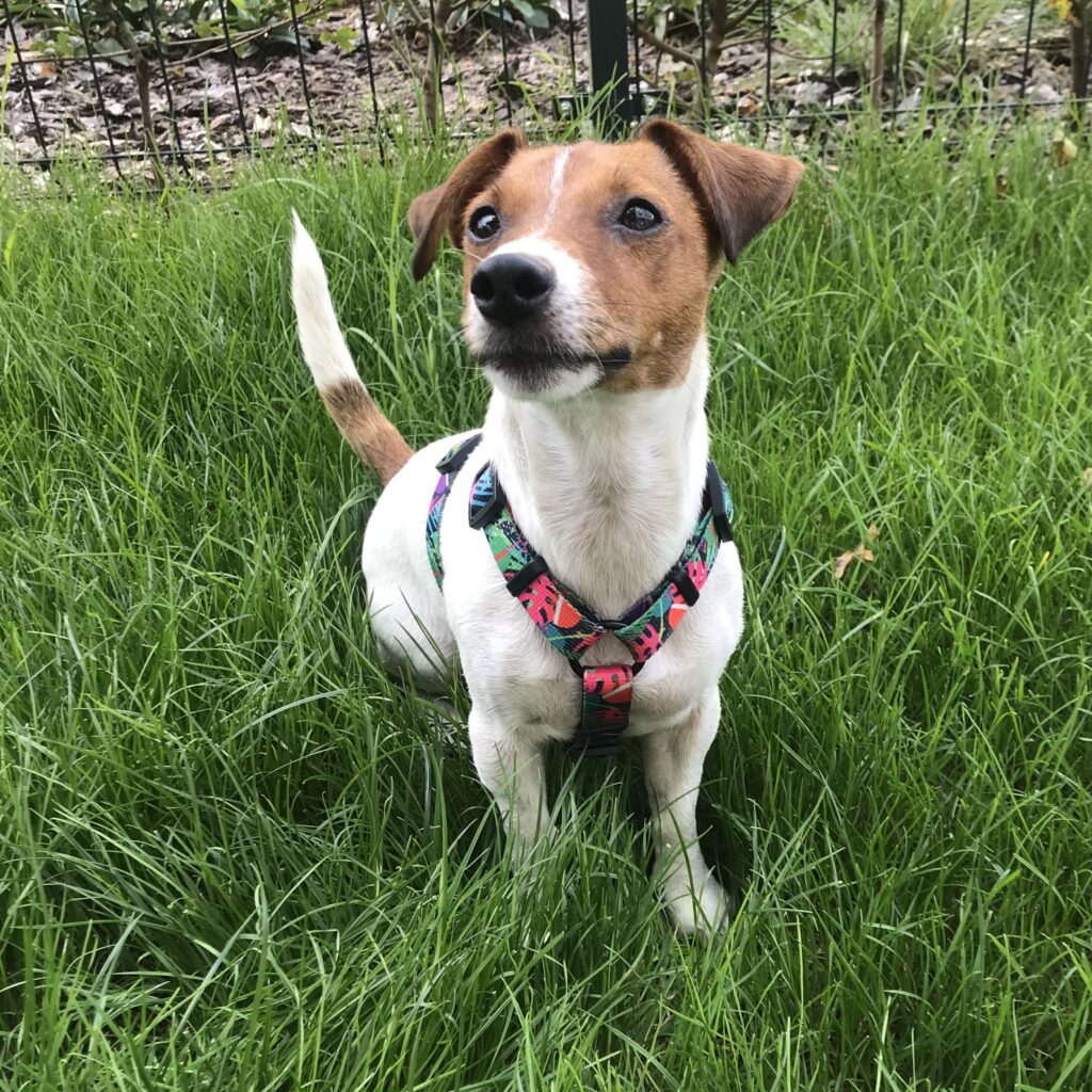 IMG_20220907_195345_660