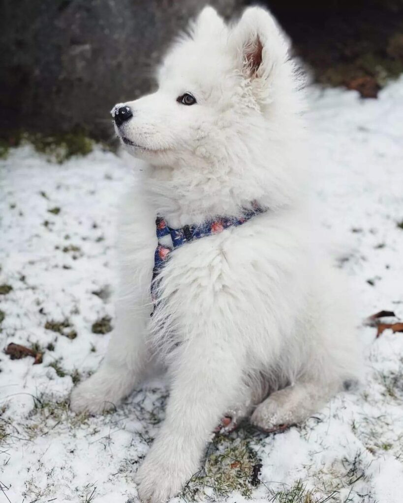 FB_IMG_1682054472005