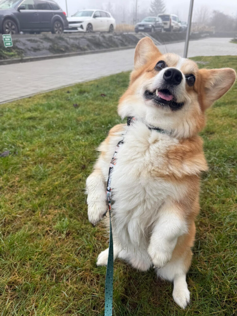 81B292DC-17F6-46A9-A1CD-82FA3584058E